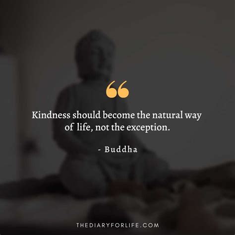 30+ Beautiful Buddha Quotes On Compassion - ThediaryforLife