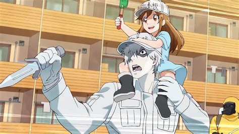 Download U-1146 (Cells At Work!) Platelet (Cells At Work!) Anime Cells ...