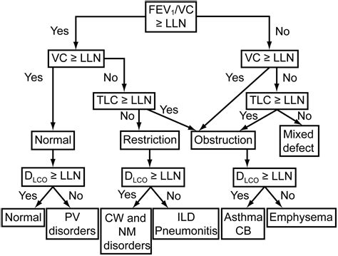 PFT Interpretive Strategies: American Thoracic Society/ European ...