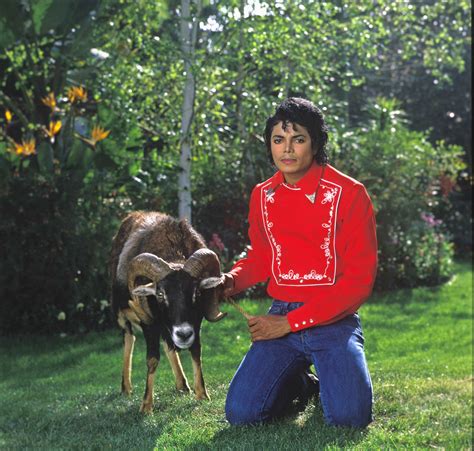 michael and his animals - Michael Jackson Photo (31107602) - Fanpop