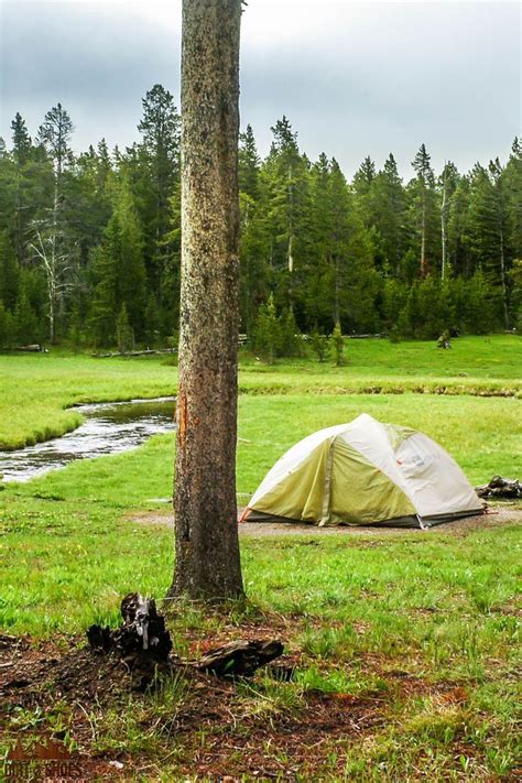 Camping in the national parks should be on everybody's bucket lists! It's the best way to turn ...