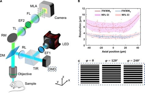 Frontiers | Background inhibited and speed-loss-free volumetric imaging ...