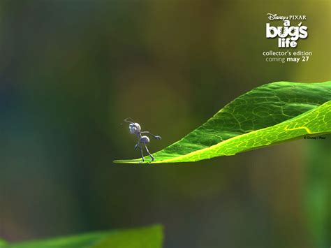 A Bug's Life - Pixar Wallpaper (67331) - Fanpop