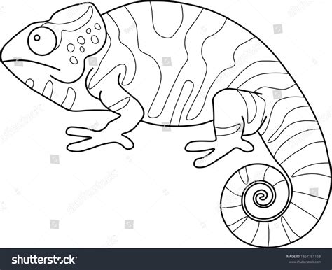 10,924 Chameleon Drawing Images, Stock Photos & Vectors | Shutterstock