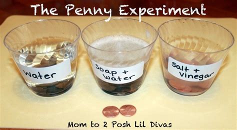 Penny experiment | Science experiments kids, Easy science experiments, Science for kids