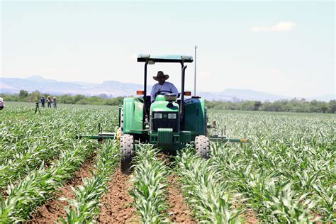 PROAGRO Productivo, un logro estratégico de productividad | Secretaría ...