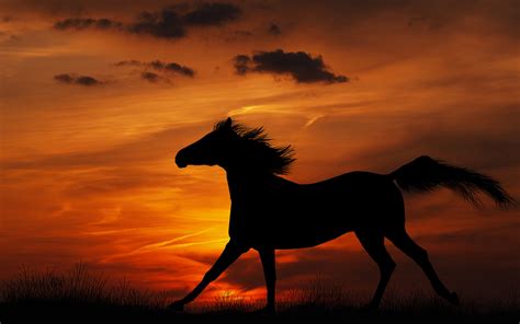 🔥 Free download Fall Horse Wallpapers on WallpaperPlay [1920x1200] for your Desktop, Mobile ...