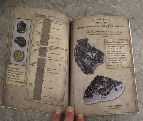 Time Traveller's Guide to Fossil Hunting on the Dorset Coast