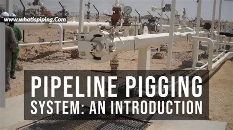 What is Pipeline Pigging? Pig Types, Pig Launcher, and Receiver – What Is Piping