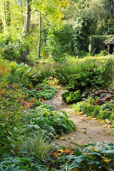 The Woodland Garden at Coton Manor, Northamptonshire, United Kingdom