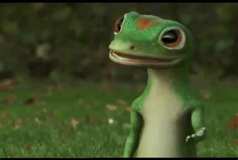 Gecko GIF - Find & Share on GIPHY