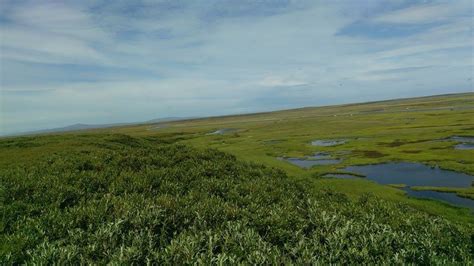 Windswept hill in Chevak | Natural landmarks, Favorite places, Windswept