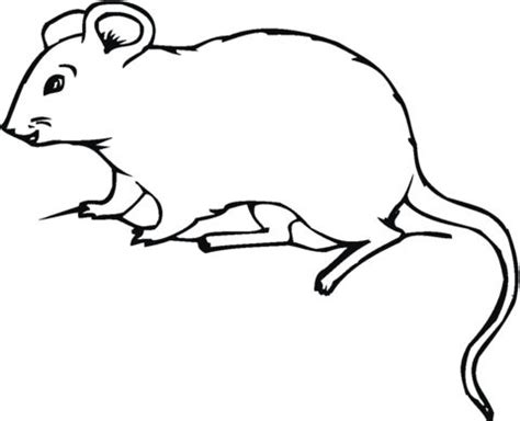 Super coloring House Mouse Coloring Page Free Printable Coloring Pages ...