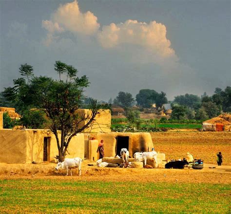 Beautiful Pakistan by ~xeeshi on deviantART | Pakistan culture, Village photography, Punjab culture