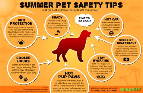 Summer Pet Safety Tips | Visual.ly