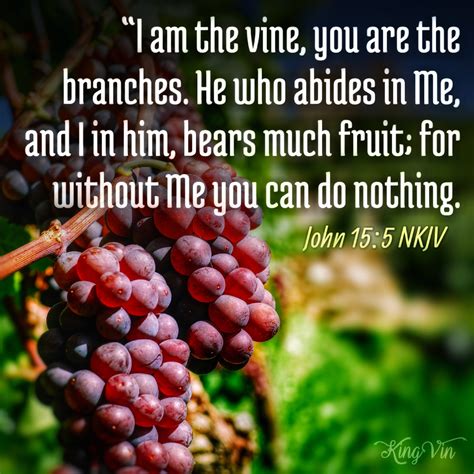 I am the vine - I Live For JESUS