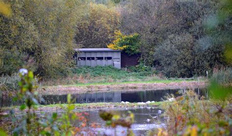 Rodley Nature Reserve, Rodley, Leeds © Mark Stevenson :: Geograph Britain and Ireland