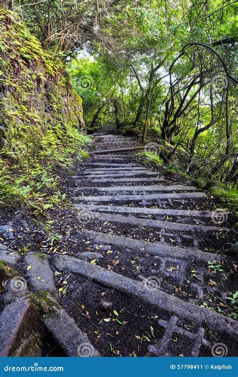 Hiking Trail on Molokai Hawaii Stock Image - Image of hiking, cinder ...