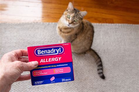 Benadryl for Cats