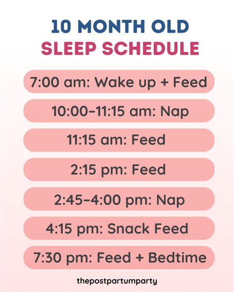 Sample 10 Month Old Sleep Schedule With Naps & Feeds - The Postpartum Party