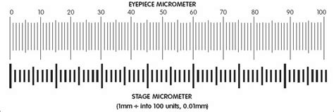 Measuring