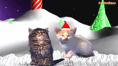 CatVid Repository - Jingle Cats - Silent night