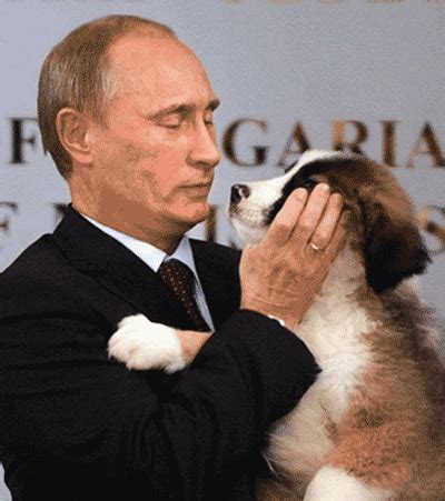 GIF putin - animated GIF on GIFER