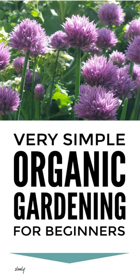 Organic Gardening Tips For Beginners