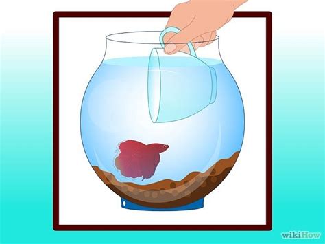 How to Clean a Betta Fish Tank: 11 Steps (with Pictures) - wikiHow ...