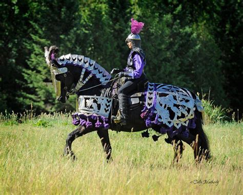 This is not my photo but I love it just the same!! Friesian. | Medieval ...