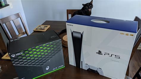 Even the cat is excited : r/XboxSeriesX