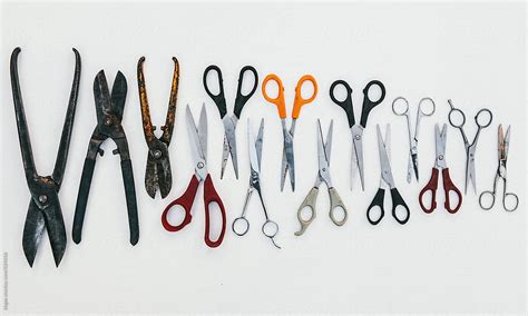 "A Collection Of Various Different Types Of Scissors" by Stocksy Contributor "Kkgas" - Stocksy