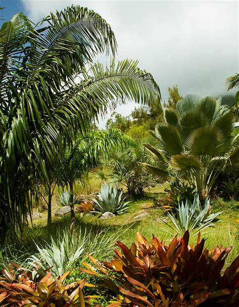 Golden Rock Inn Nevis Gardens | Botanical Gardens of Nevis