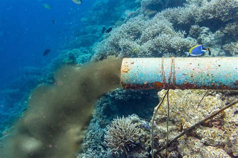 La contaminación del agua: descubre las causas y consecuencias