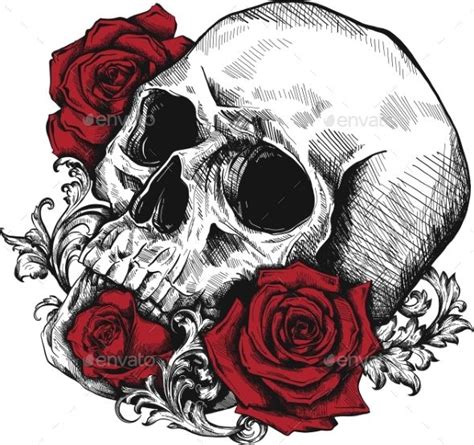 Human Skull with Roses on White Background | Skulls drawing, Skull and rose drawing, Skull art ...