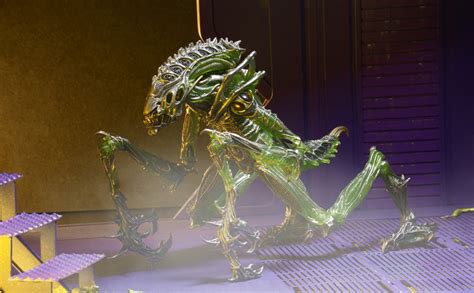 Amazon.com: NECA Aliens 7" Scale Series 10 Mantis Alien Action Figure ...