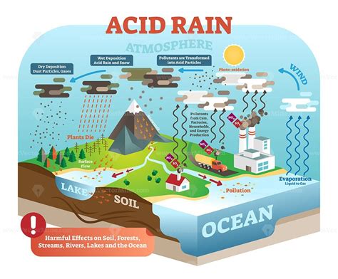 Acid rain cycle, nature ecosystem pollution infographic – VectorMine