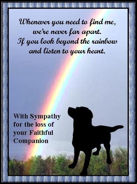 PET SYMPATHY CARD Pets are devoted companions and their owners mourn the loss of a treasured ...