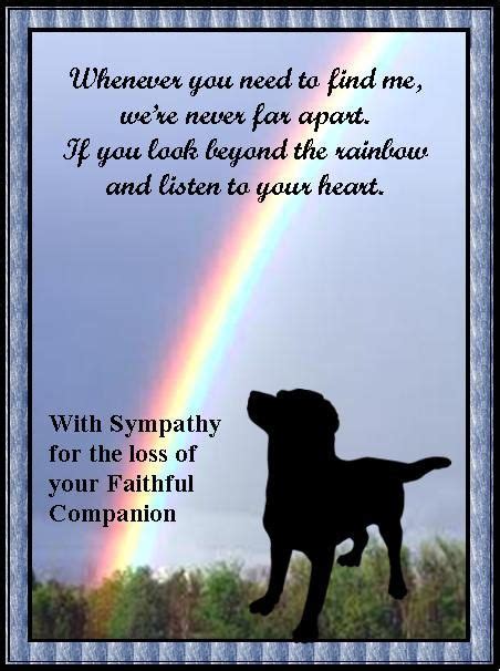 PET SYMPATHY CARD Pets are devoted companions and their owners mourn ...