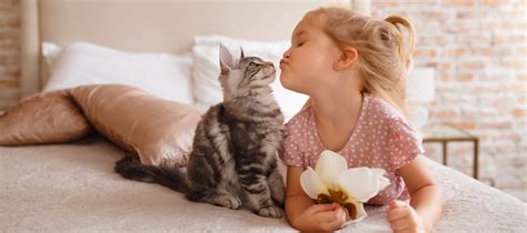 5 Reasons Why Cats Are the Best Pets for Kids