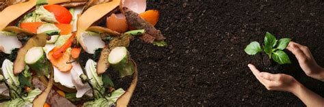 The Pros and Cons of Composting as a Food Waste Solution - Power Knot