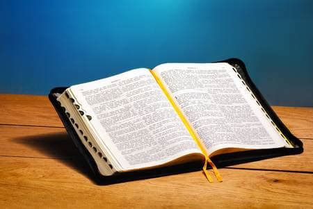 La Biblia no es la Palabra de Dios; Esta Contiene la Palabra de Dios ...