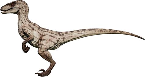 Velociraptor | Jurassic World Evolution Wiki | Fandom | Jurassic world ...