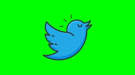 8k - Cartoon Twitter icon logo symbol, o... | Stock Video | Pond5