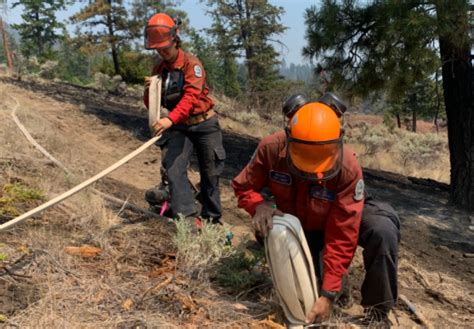 Evacuation orders rescinded for Stoddart and Donnie Creek Wildfires; rain providing some relief ...