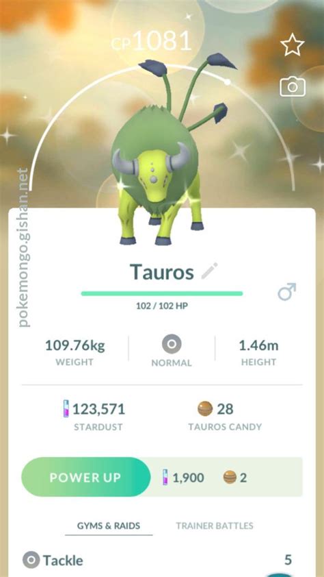 Shiny Tauros - Pokemon Go