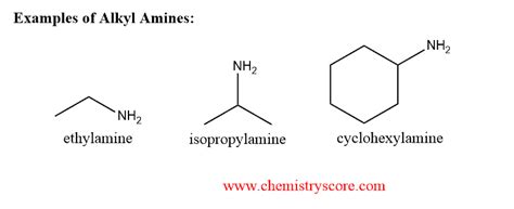 Amine Examples