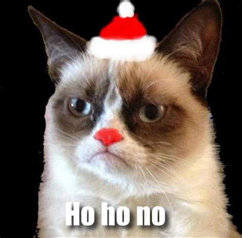 grumpy cat, christmas pictures, ho ho ho - Dump A Day