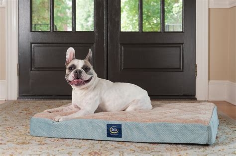 Serta Orthopedic Quilted Pillowtop Dog Bed, Large, Blue | eBay