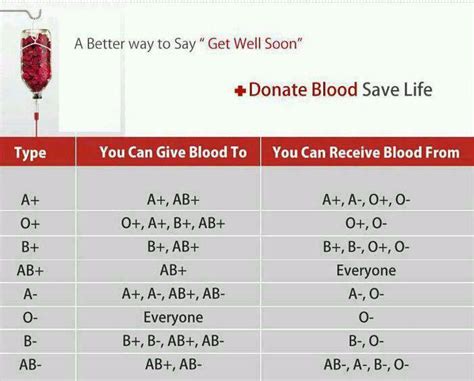 Blood Types And Donation Possibilities Worksheet A Answer Ke